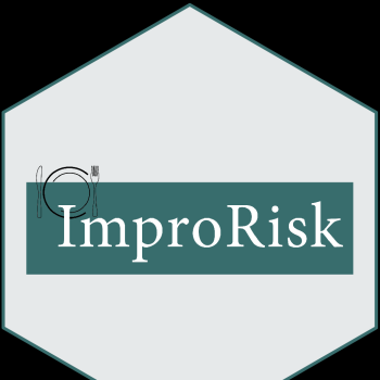 ImproRisk logo
