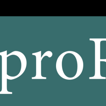 ImproRisk logo